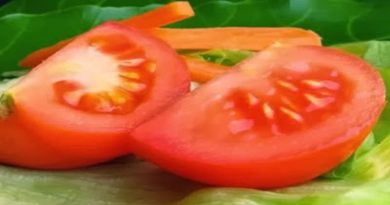rajcica paradajz tomatto