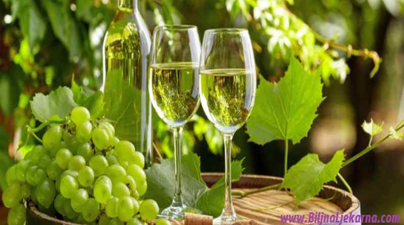 BiljnaLjekarna Istria Grape Harvesting Zdravlje u grozdju