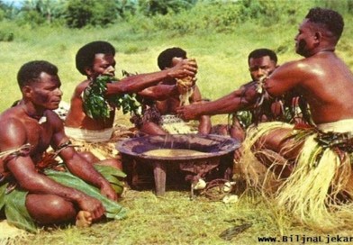 BiljnaLjekarna Kava kava