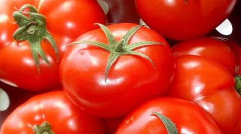 paradajz rajčica pomidoro