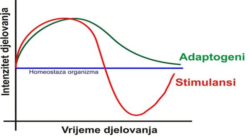 adaptogeni dijagram
