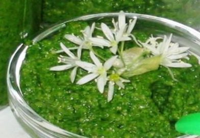 umak od medvjedeg luka