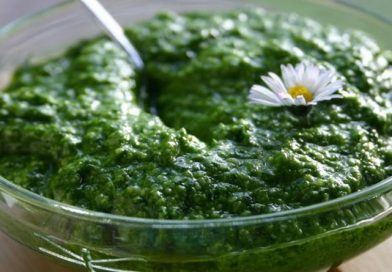 umak od divljeg luka