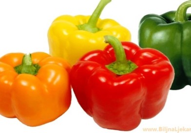 paprika_ BiljnaLjekarna