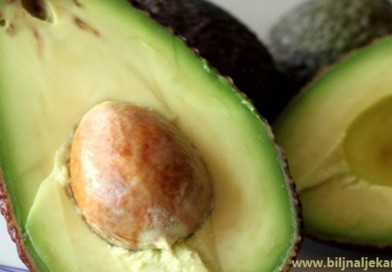 avokado kospa biljnaljekarna