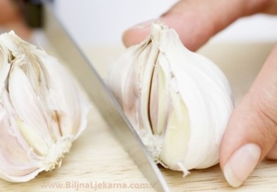 cesnjak Bbiljna Apoteka