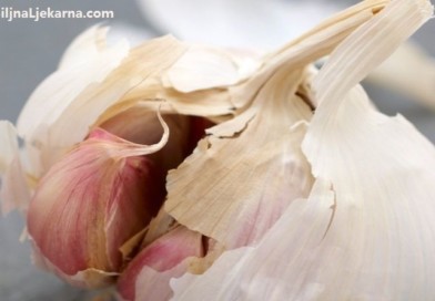 bijeli luk Biljna Ljekarna
