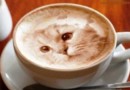 coffee Biljna Ljekarna