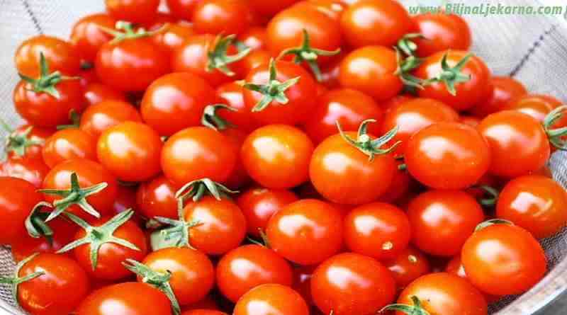 rajcica tomato Biljna Ljekarna