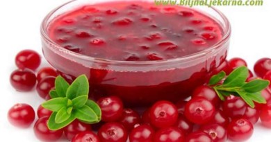 cranberry brusnica Biljna Ljekarna