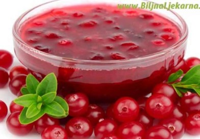 cranberry brusnica Biljna Ljekarna