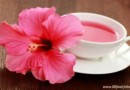 Ljekovita svojstva hibiskusa Biljna Ljekarna